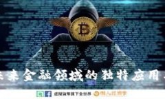 虚拟币在未来金融领域的独特应用与发展趋势