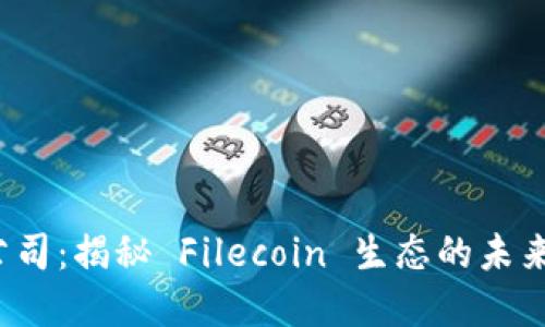 FIL虚拟币公司：揭秘 Filecoin 生态的未来与投资价值